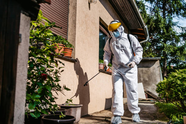 Best Termite Control Services  in Baldwinsville, NY