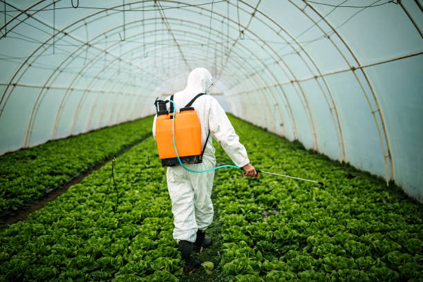 Best Residential Pest Control  in Baldwinsville, NY