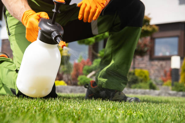 Best Pest Prevention Services  in Baldwinsville, NY