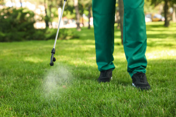 Trusted Baldwinsville, NY Pest Control Experts