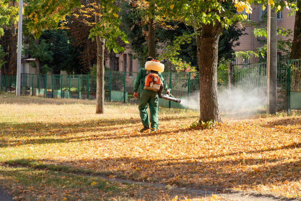 Best Exterminator Services  in Baldwinsville, NY